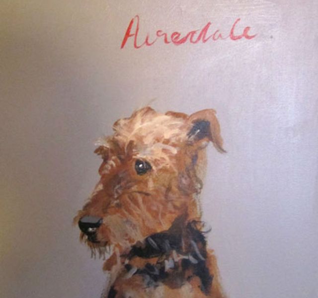 The A-Z of Dogs image
