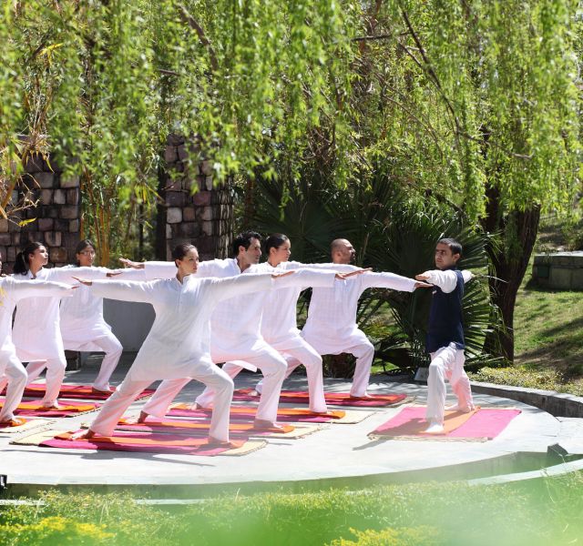 Ananda: The Himalayas image