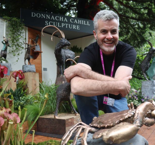 Donnacha Cahill: Sculptor of the Story image