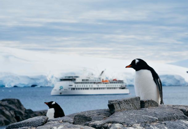 Penguin Season: AE Expeditions image