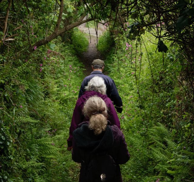 Tregothnan: British Tea Tours image