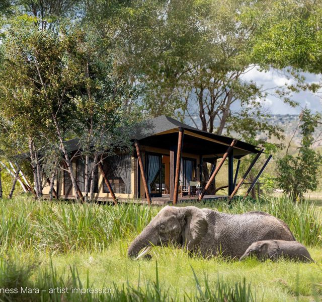 Wilderness Mara: Kenya image