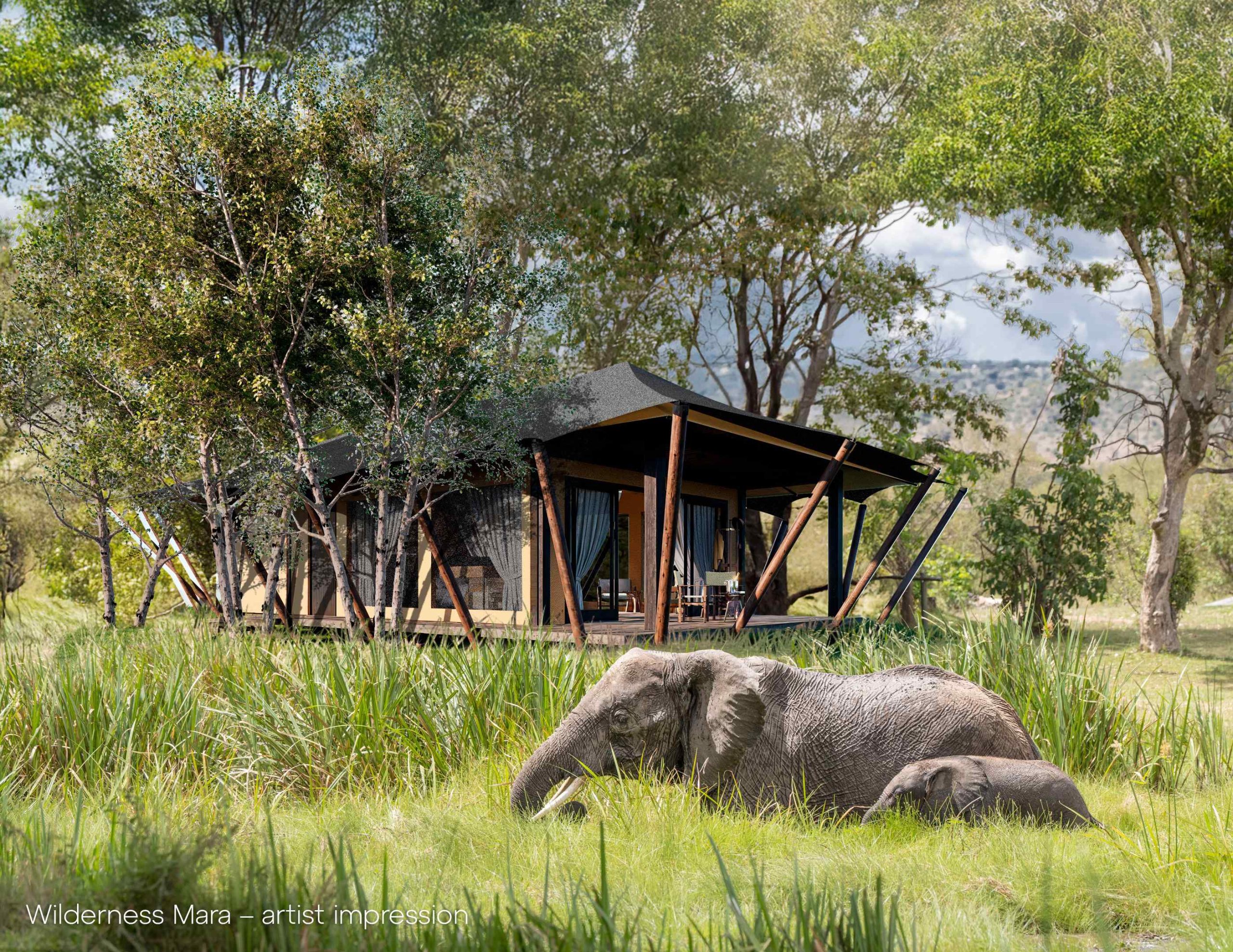 Wilderness Mara: Kenya - Freya Olsen