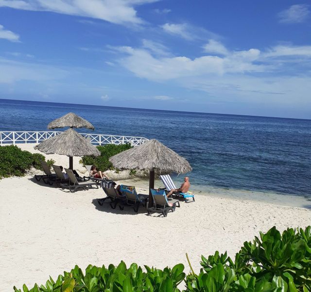 Jamaica: Lively up Yourself image